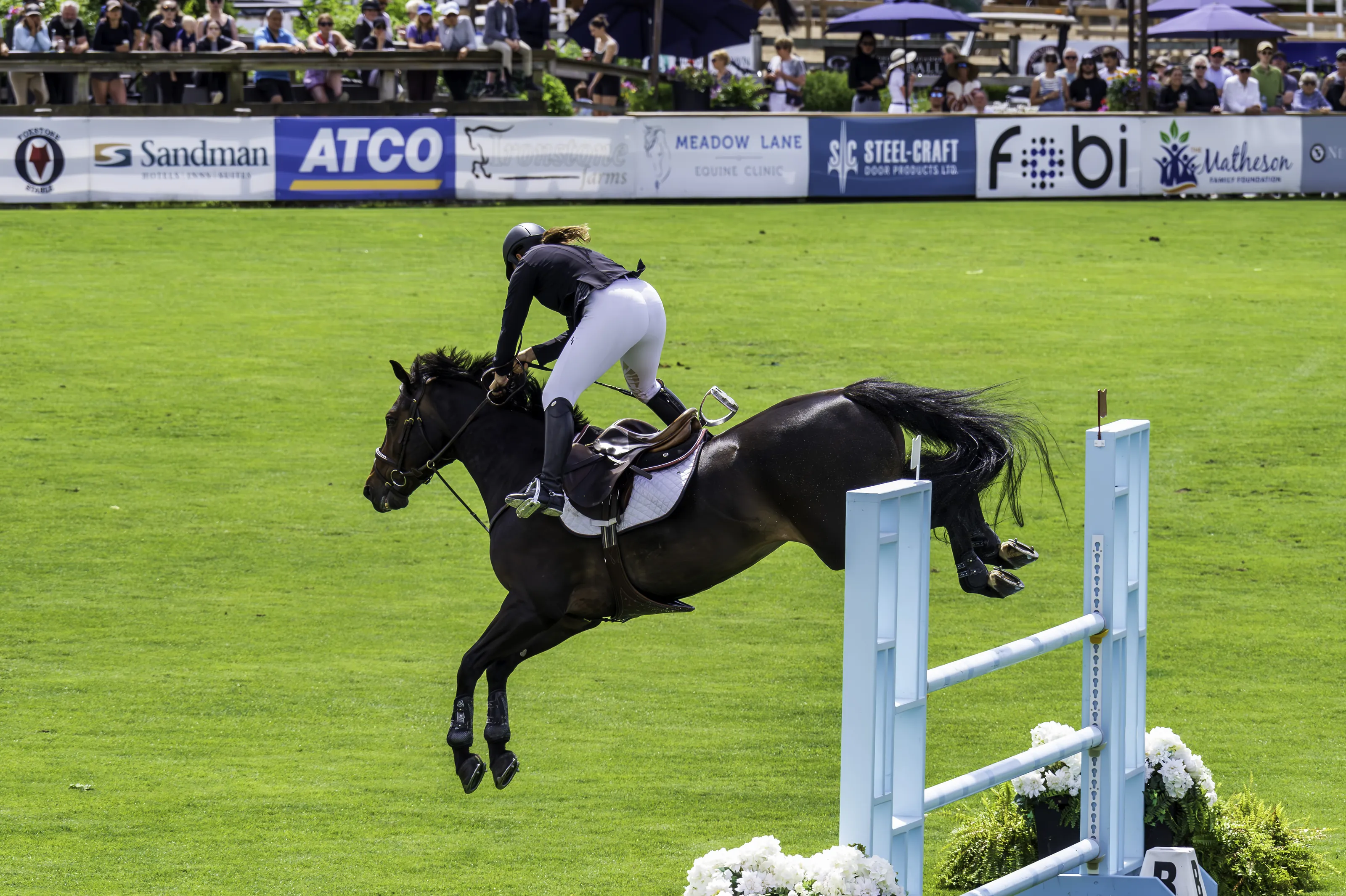 Action at Horse Shows (in colour)