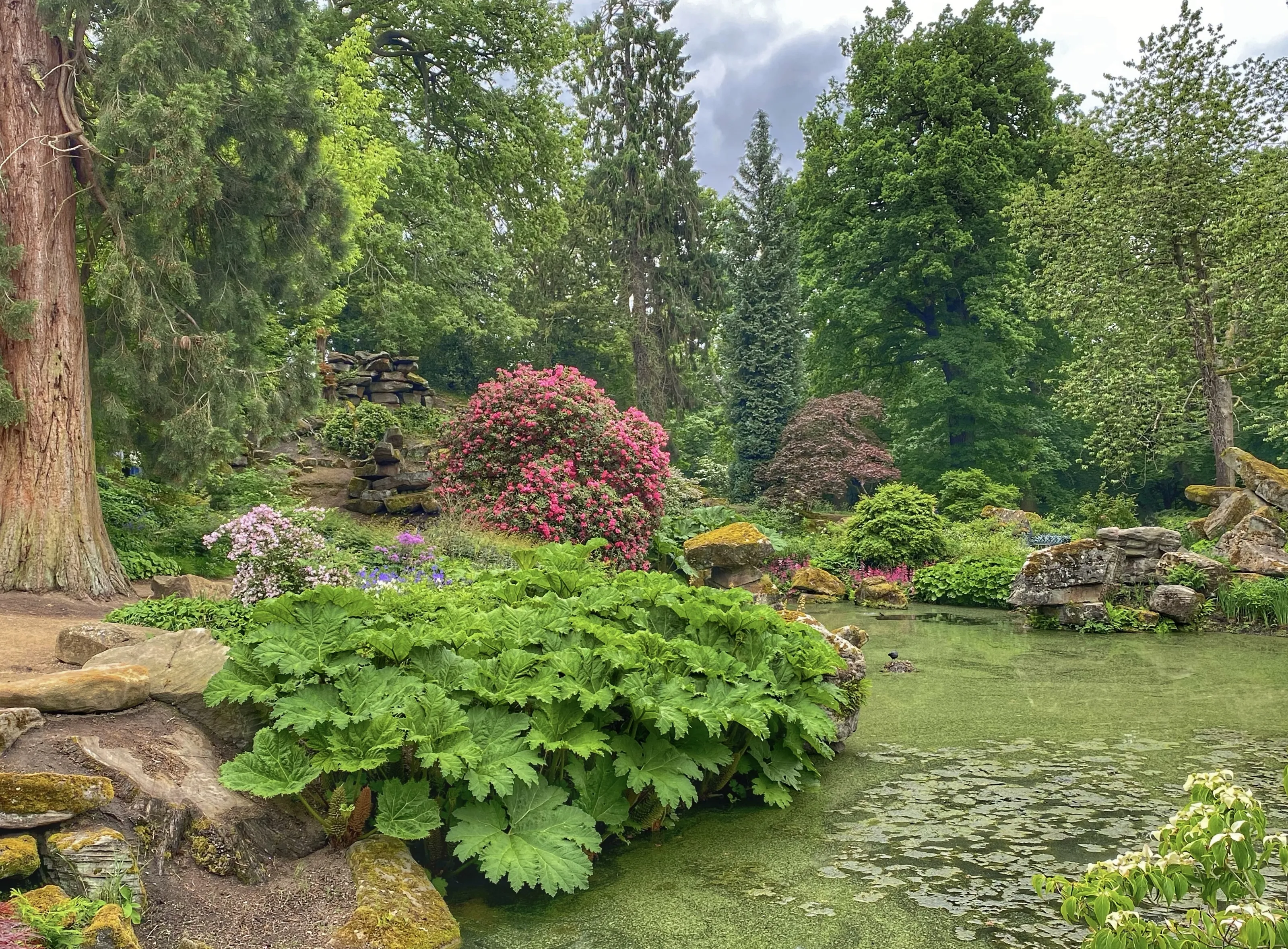 Rock Gardens (in colour)