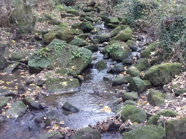 Rocks with Water