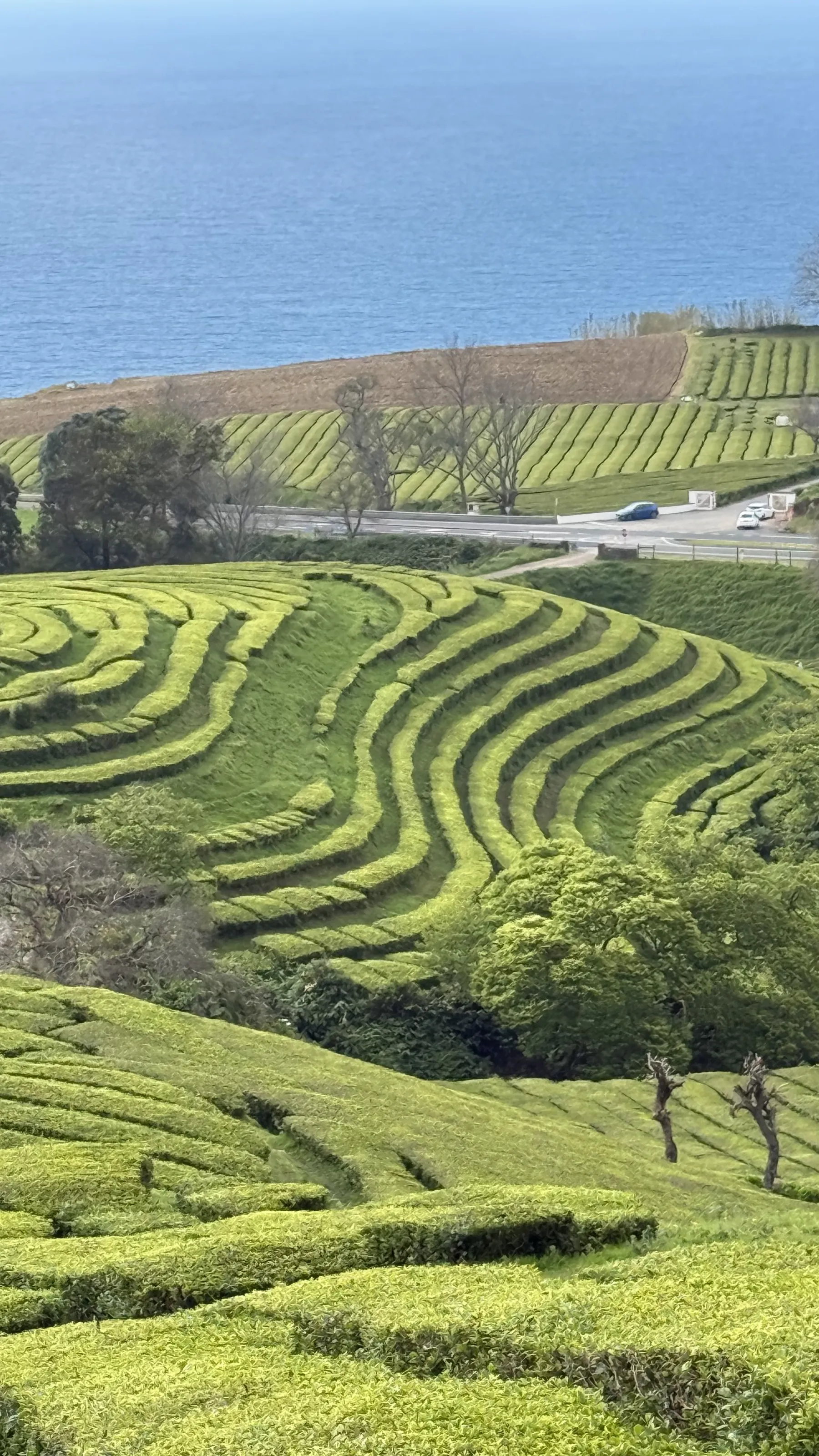 Beautiful Portugal and its Islands (in colour)