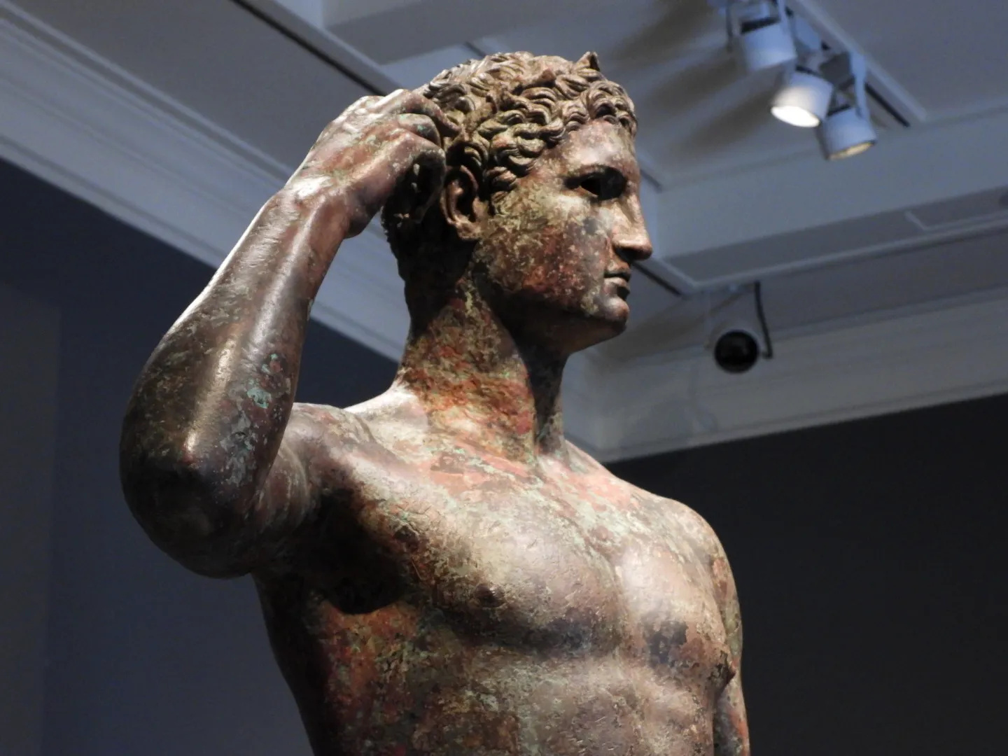 Statues and Busts