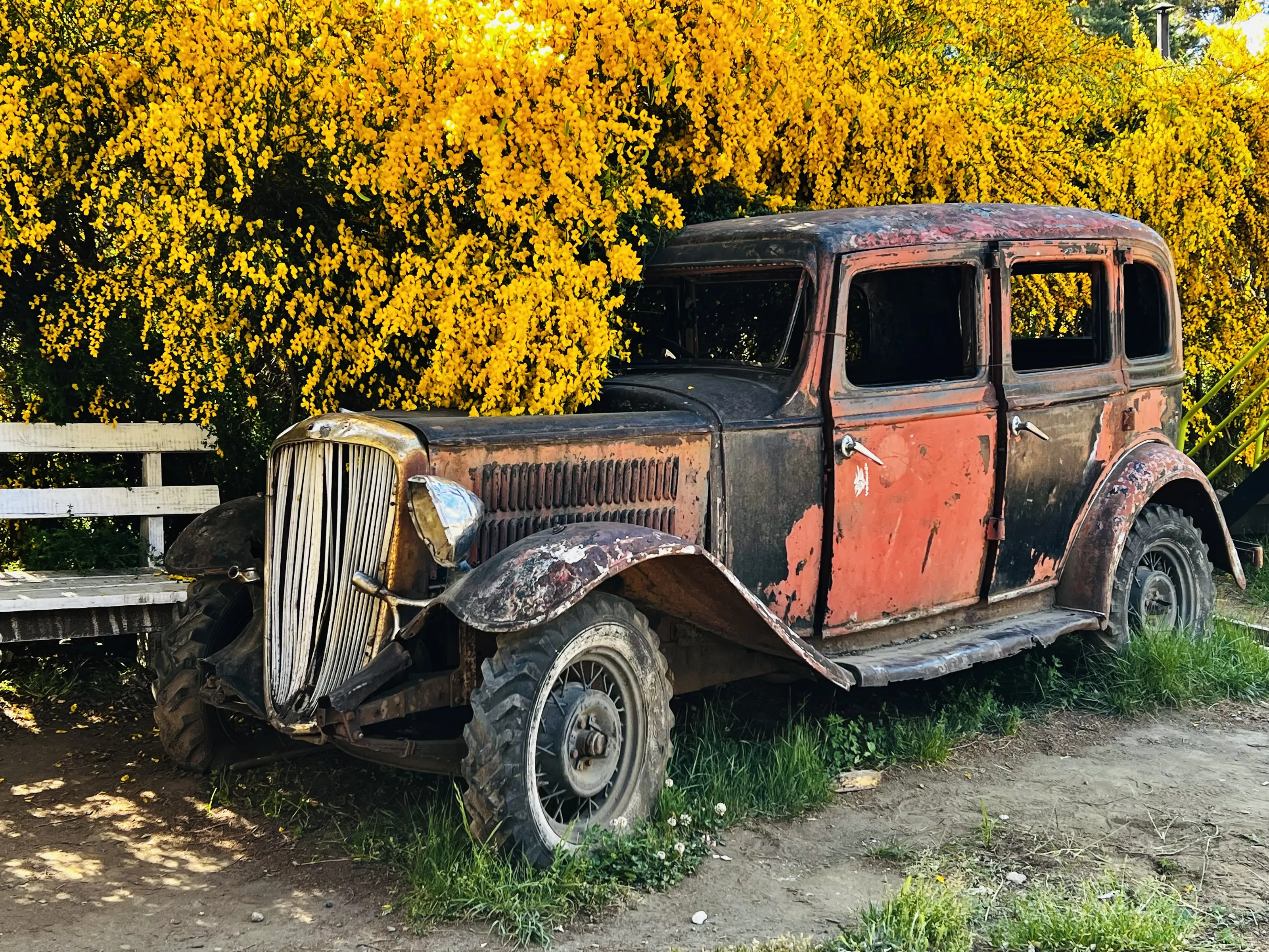 Abandoned and Neglected Vehicles