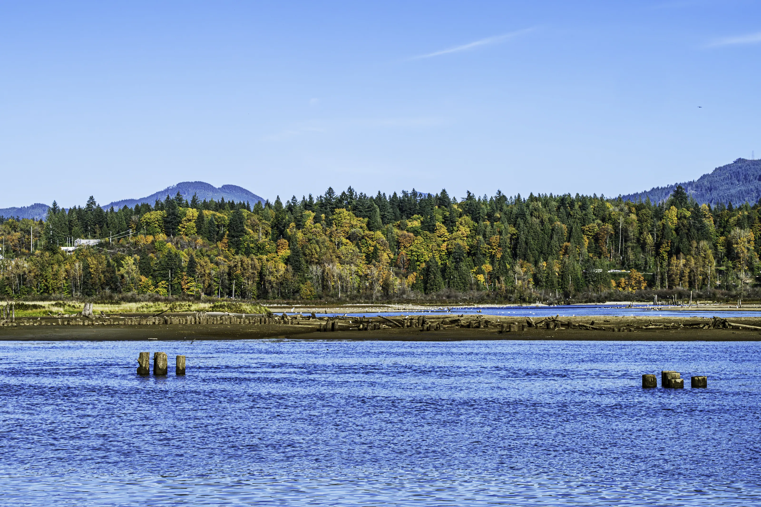 Natural Landscapes with Water (in colour)