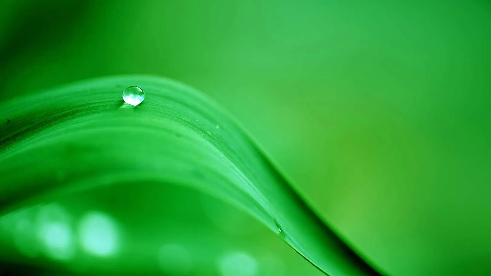 The colour green