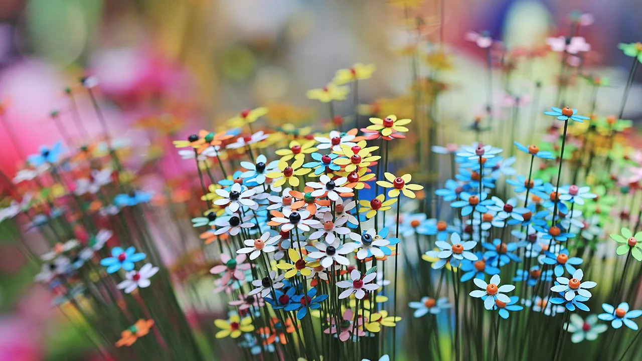 Vibrant colours