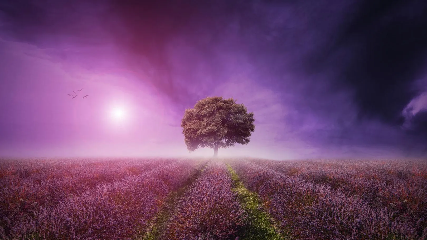 Trees