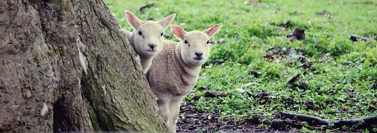 Easter