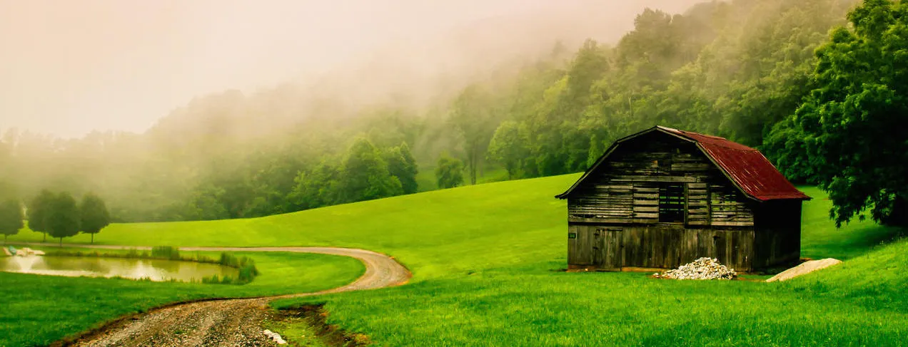 Shelter