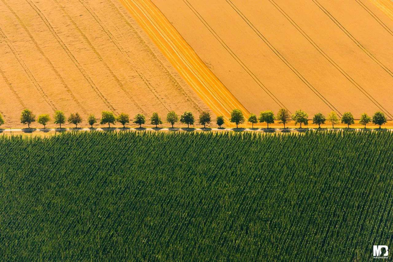 Contrasts and opposites