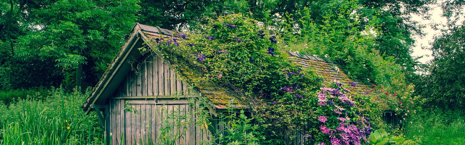 Sheds and outhouses
