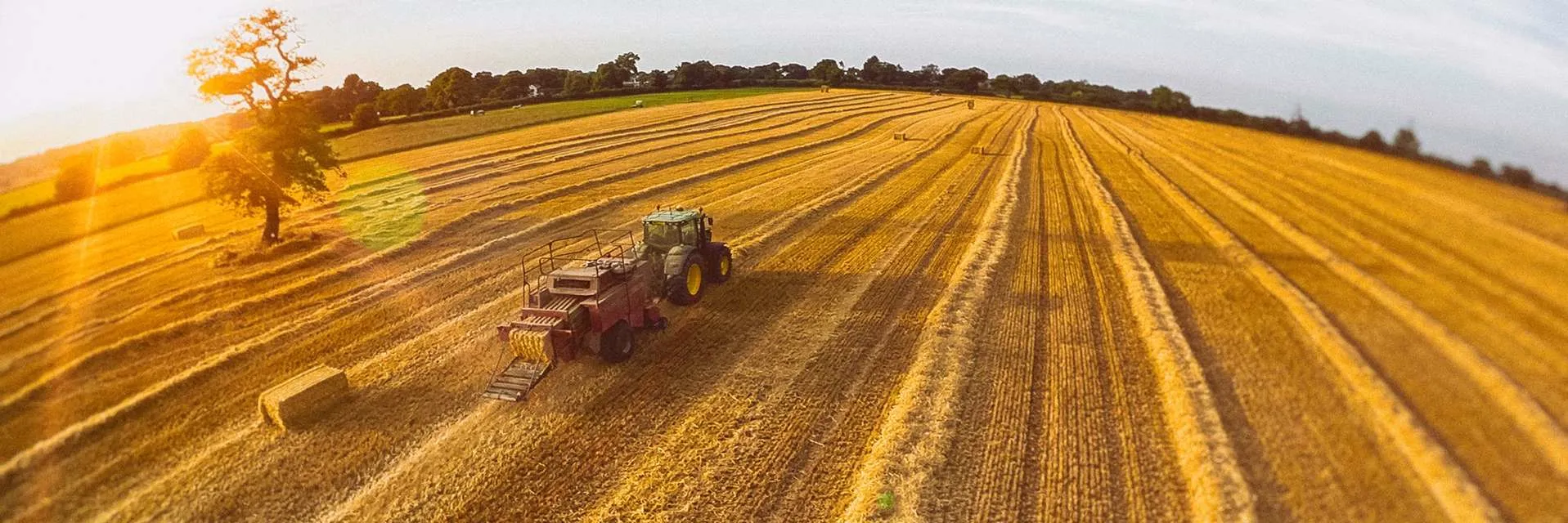 Harvest
