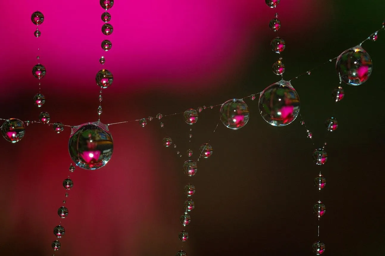 Liquid