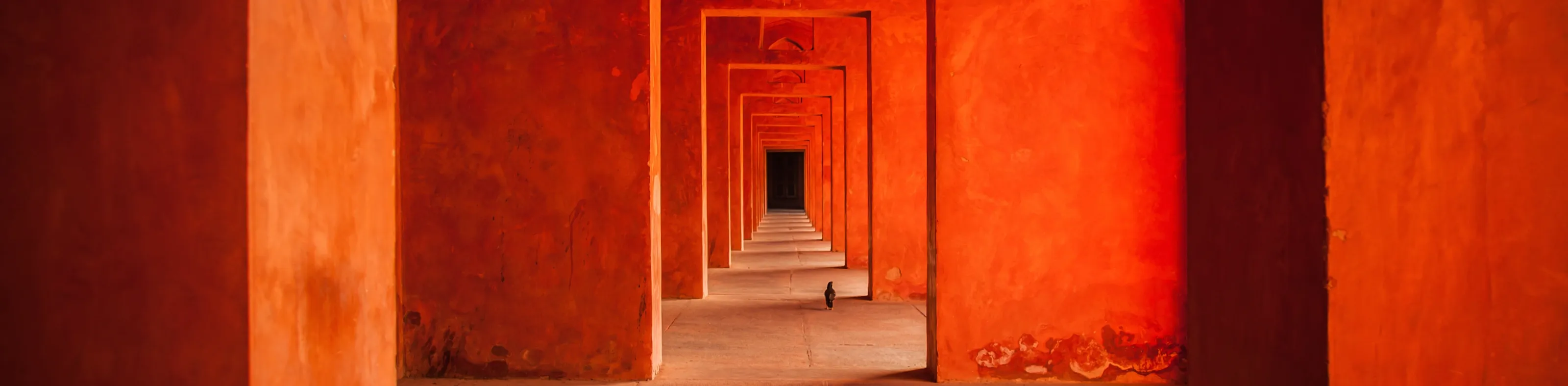 Tunnels and corridors