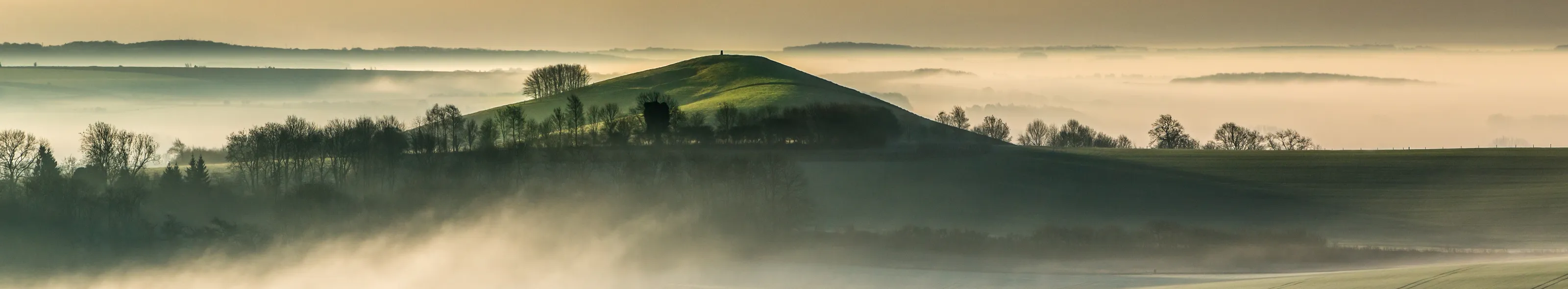 In the fog