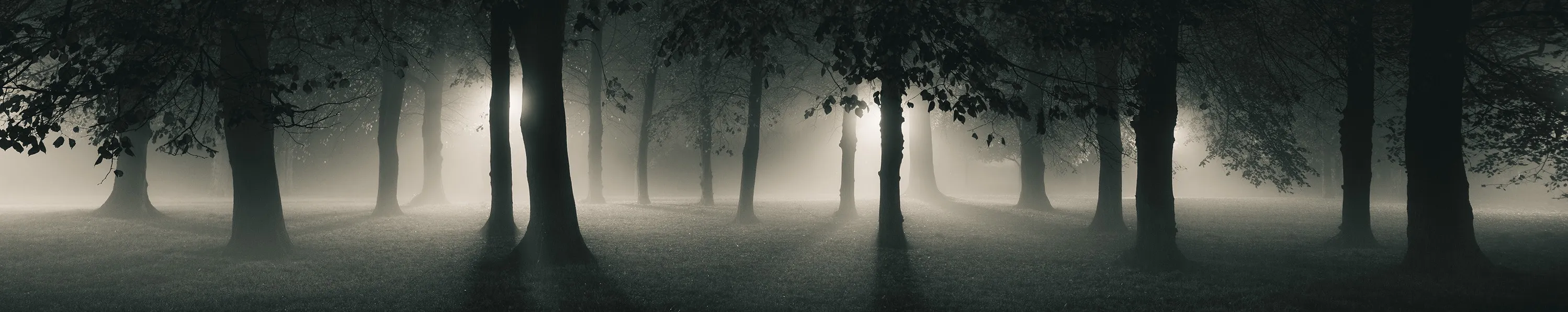 Nightscapes (Nikon only)