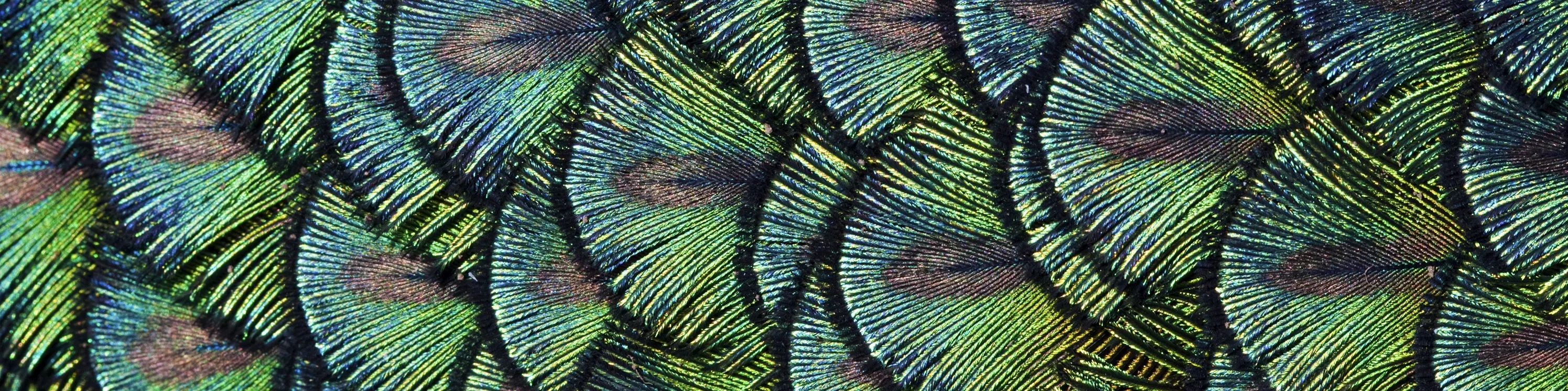 Textures