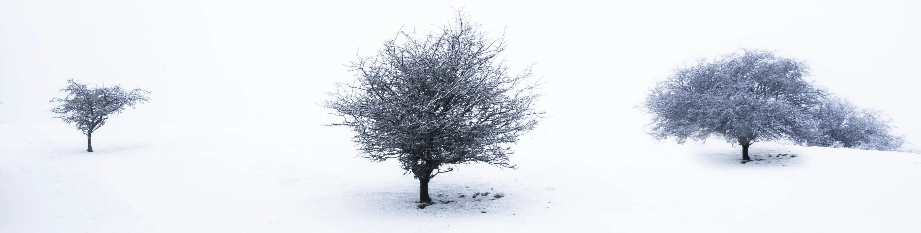 Extreme exposure