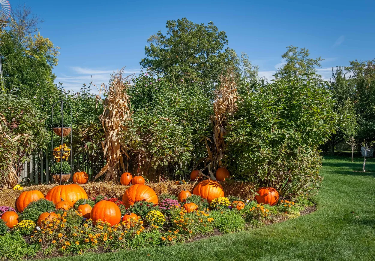 Entry 2799484
