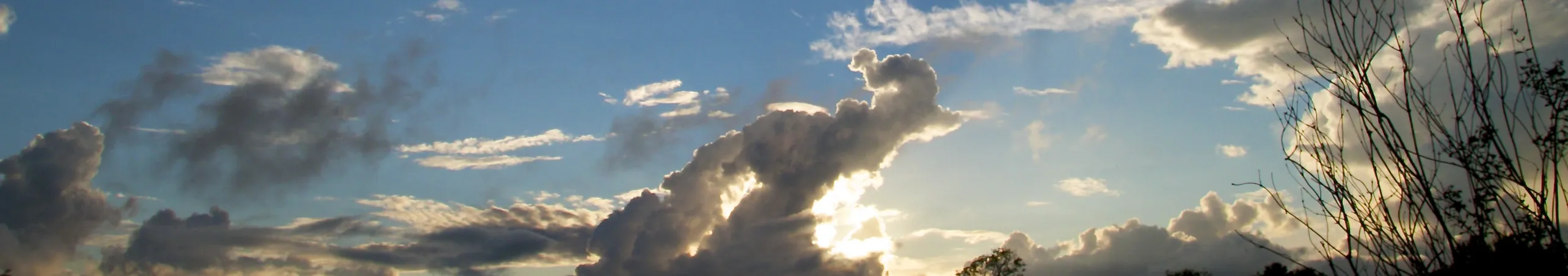 That cloud looks like a...