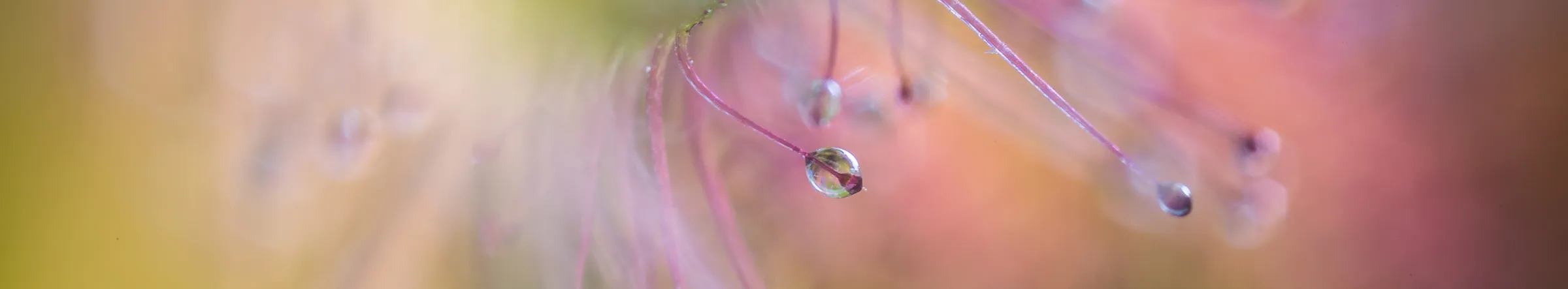 Selective focus