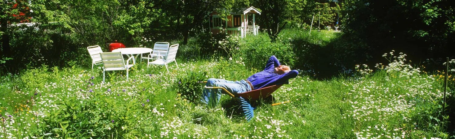 Your garden