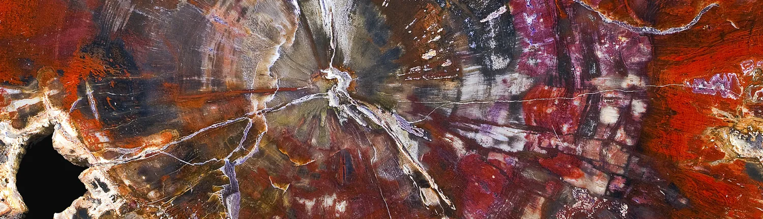 Abstract imagery