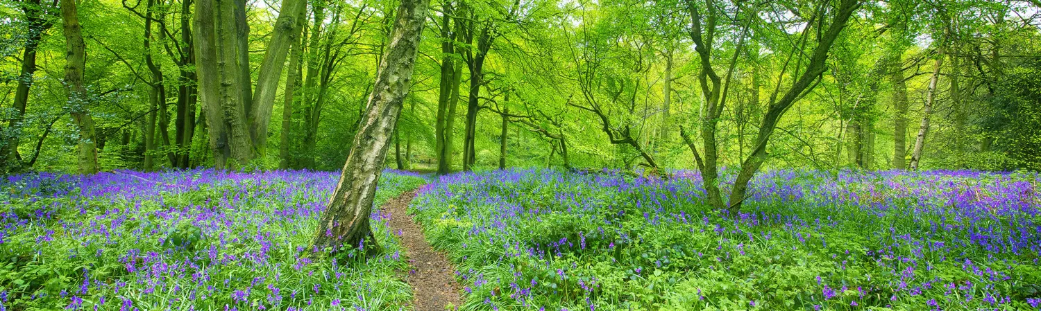 Colourful landscapes