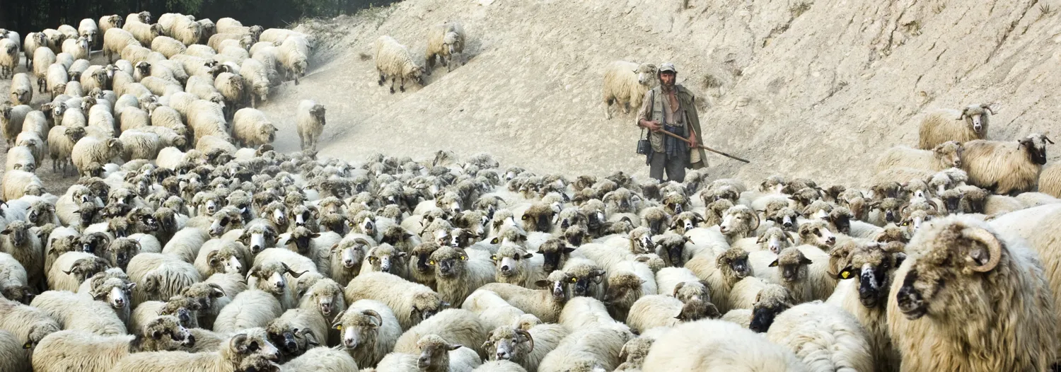 Farming