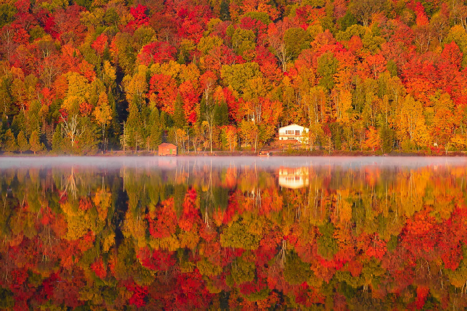 Autumnal scenes