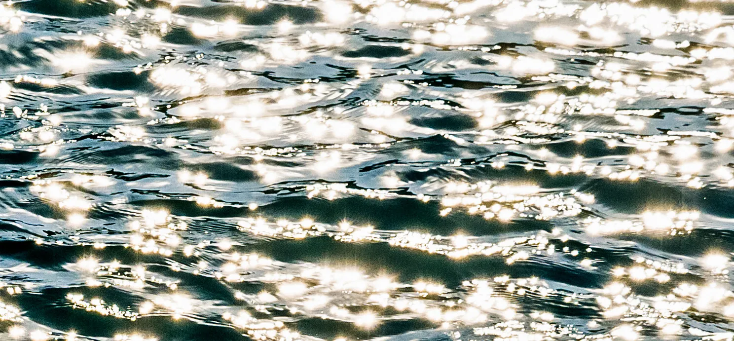 Shine