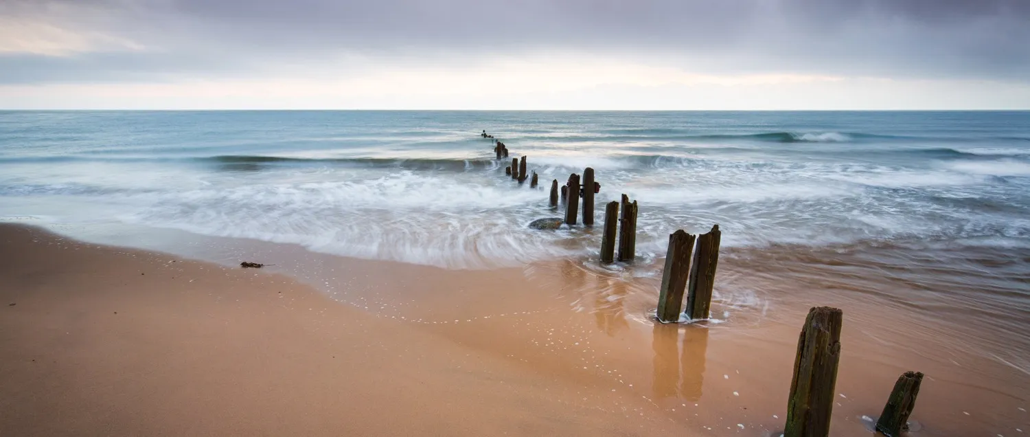 Beaches and seashores