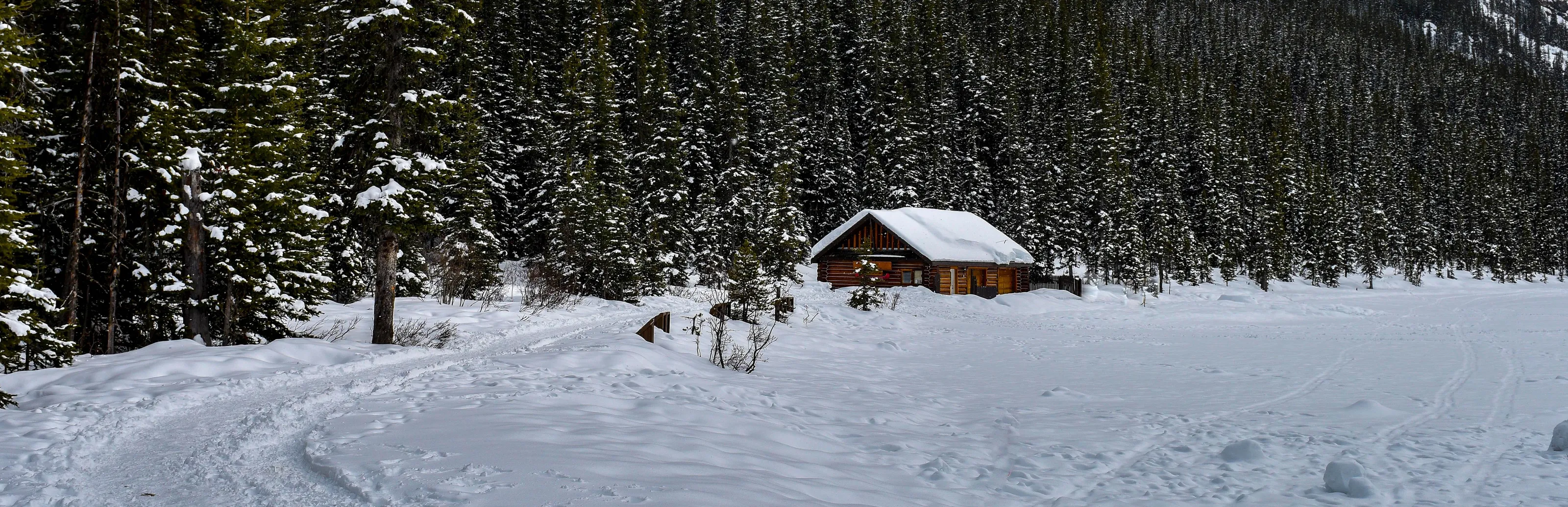 Wooden buildings