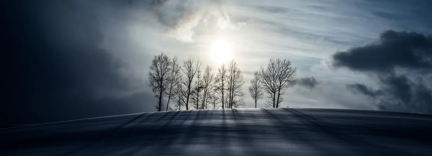 Winter landscapes