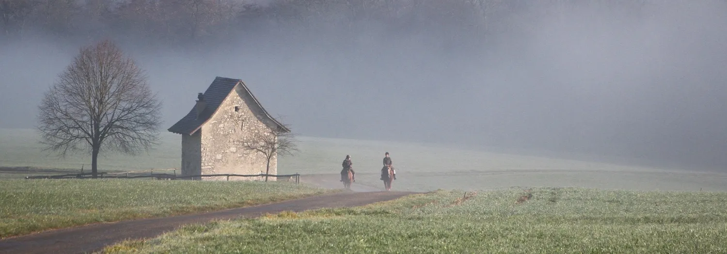 Country life