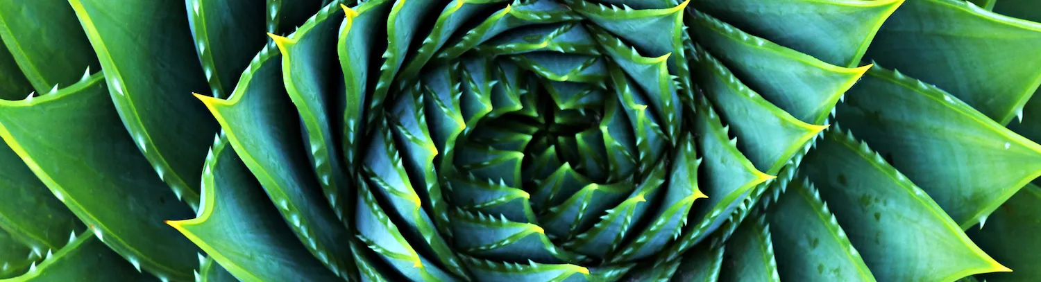 The colour green