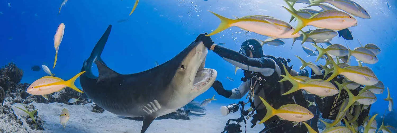 Underwater