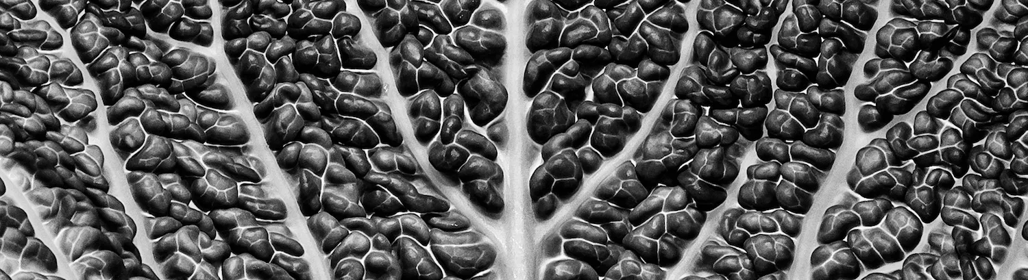 Textures in black & white