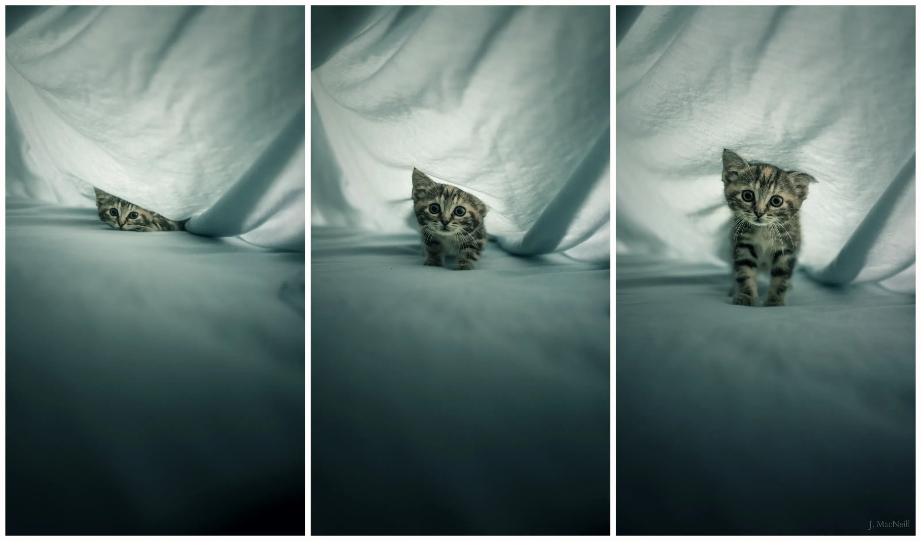 Three thinking