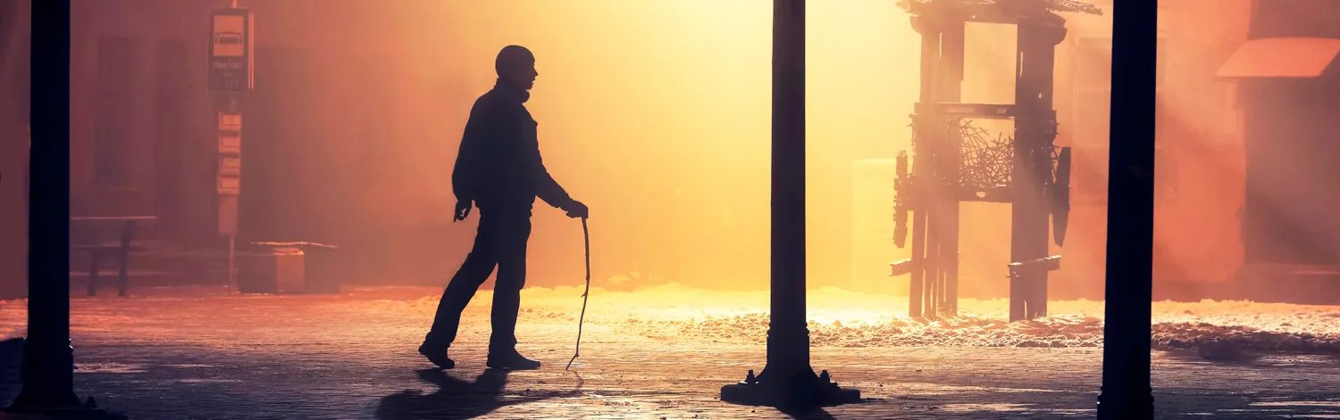 Shadows and silhouettes