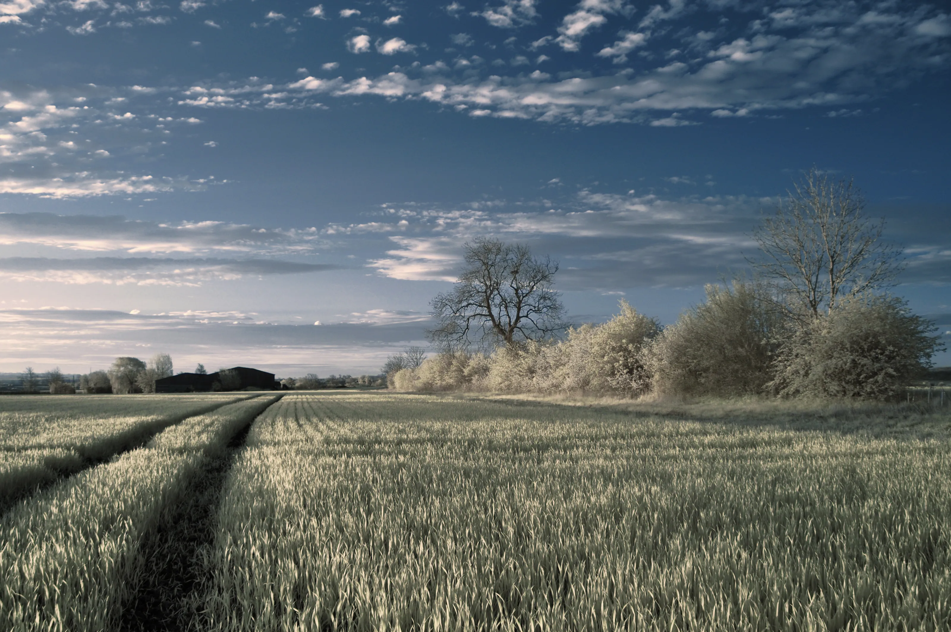 Infra Red Colour Images