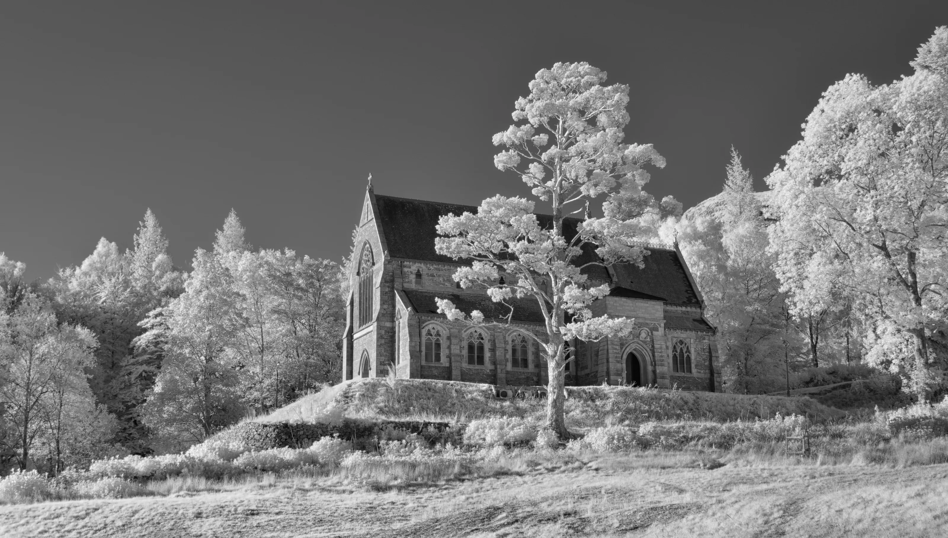 Black And White Infra Red Conversions