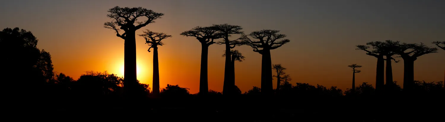 African landscapes