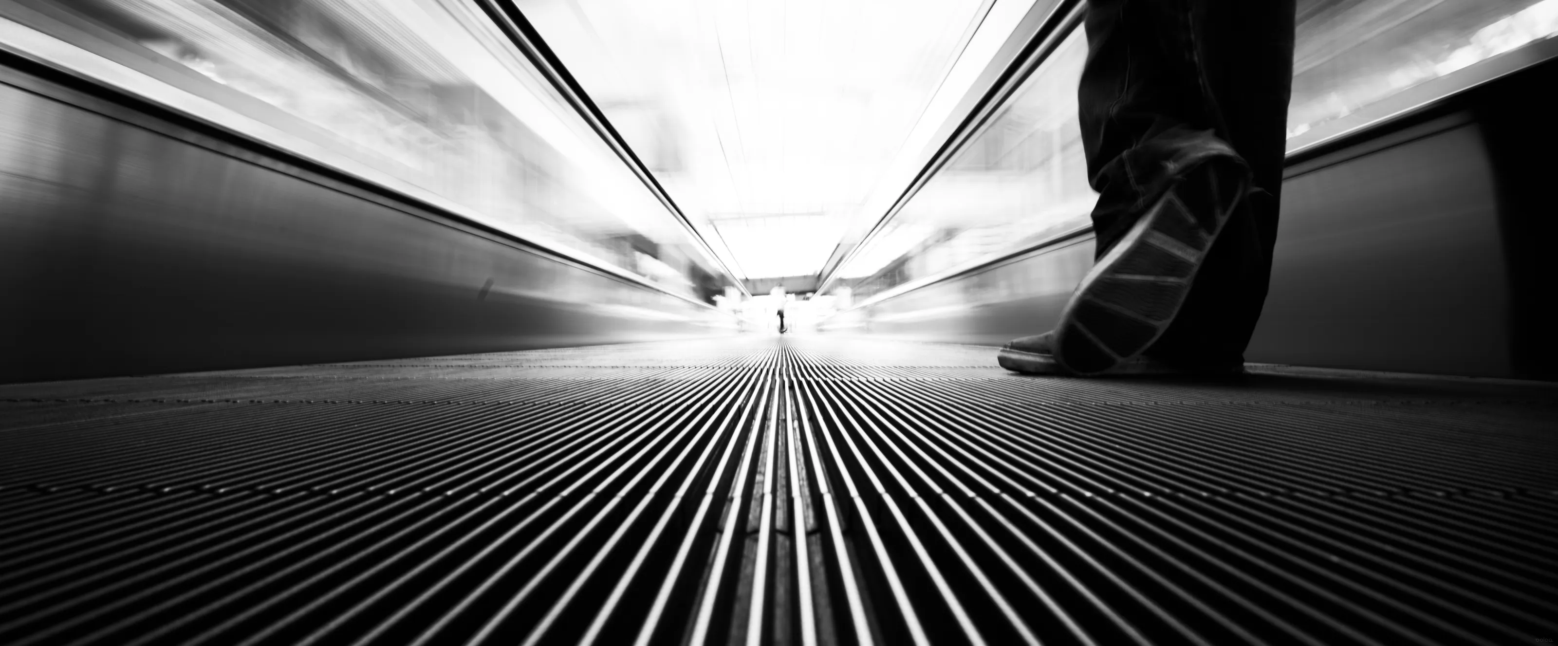 From the ground