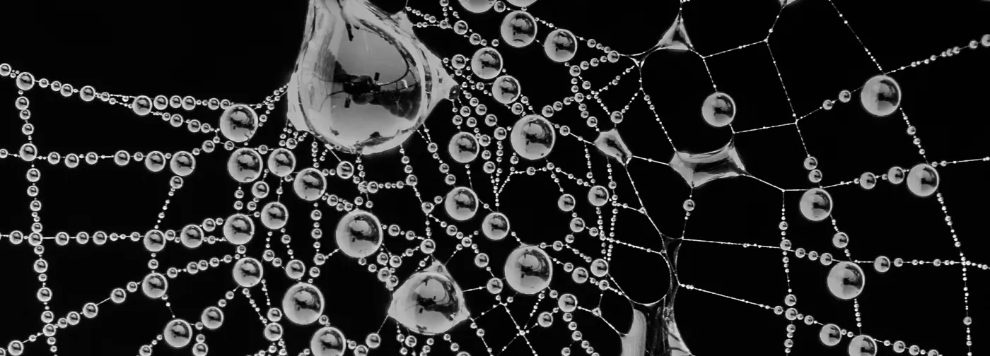 Black and white patterns and shapes