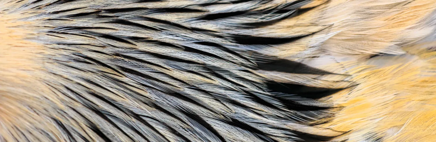 Abstraction