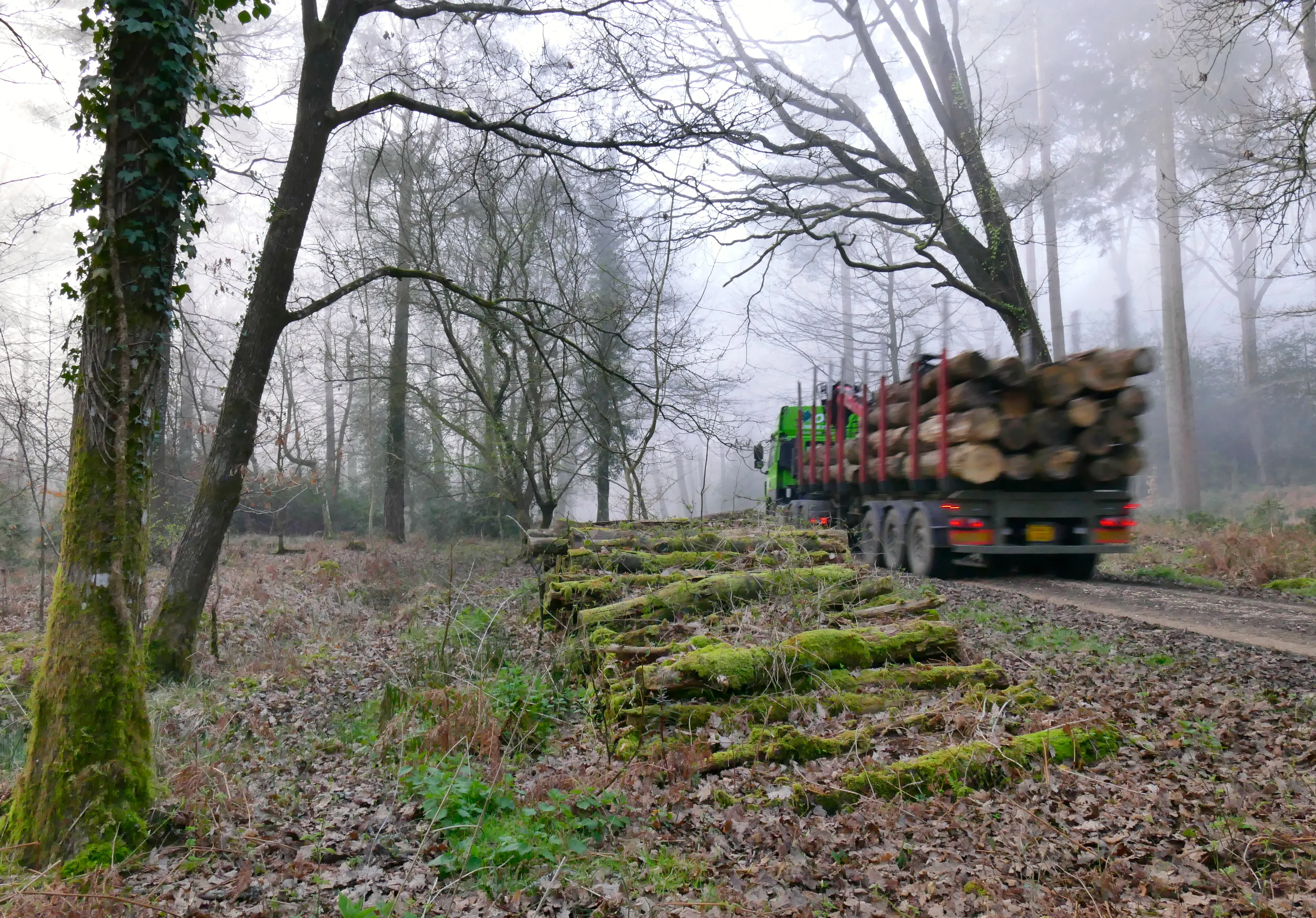 Haulage and freight