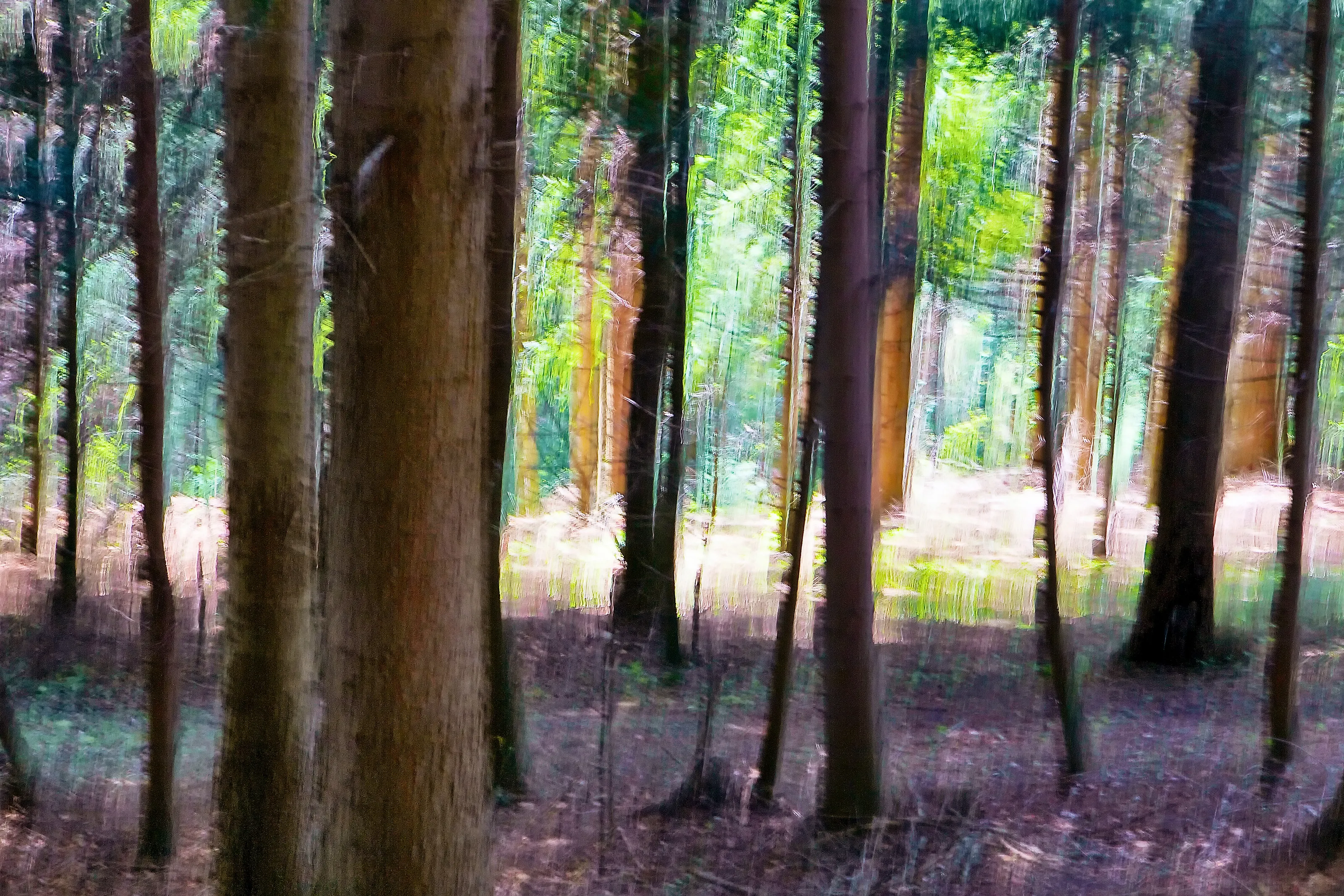 Intentional Camera Movement