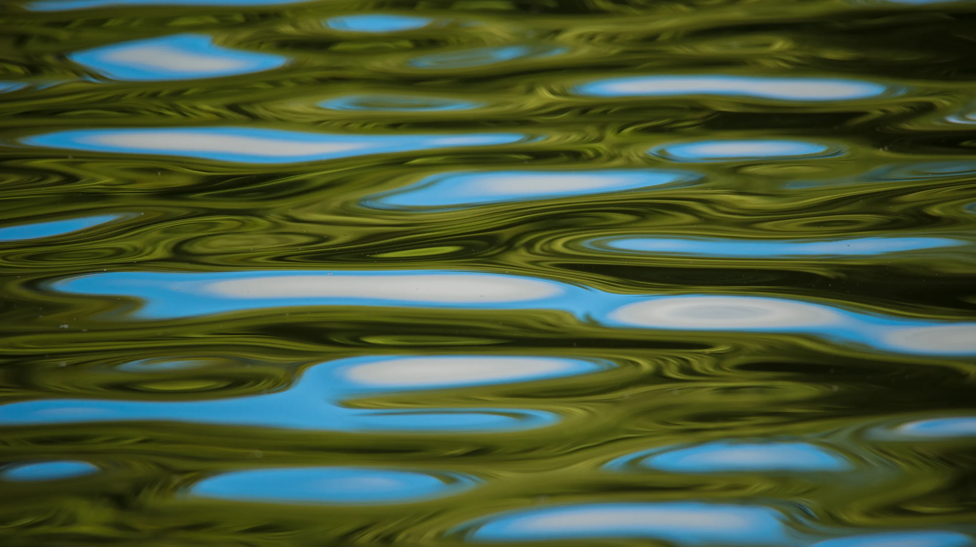 Abstract Water Reflections and Ripples