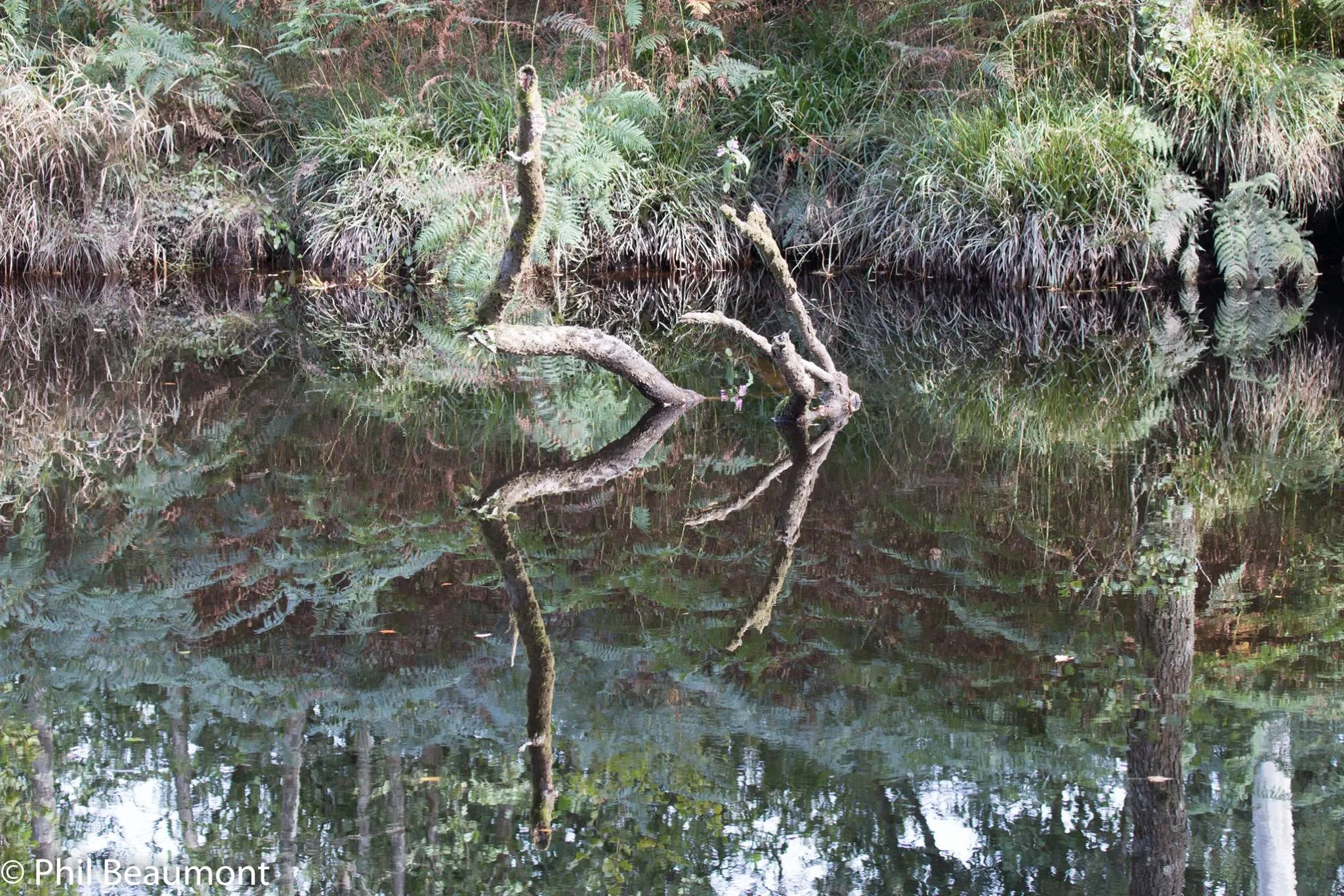 Reflective Moment