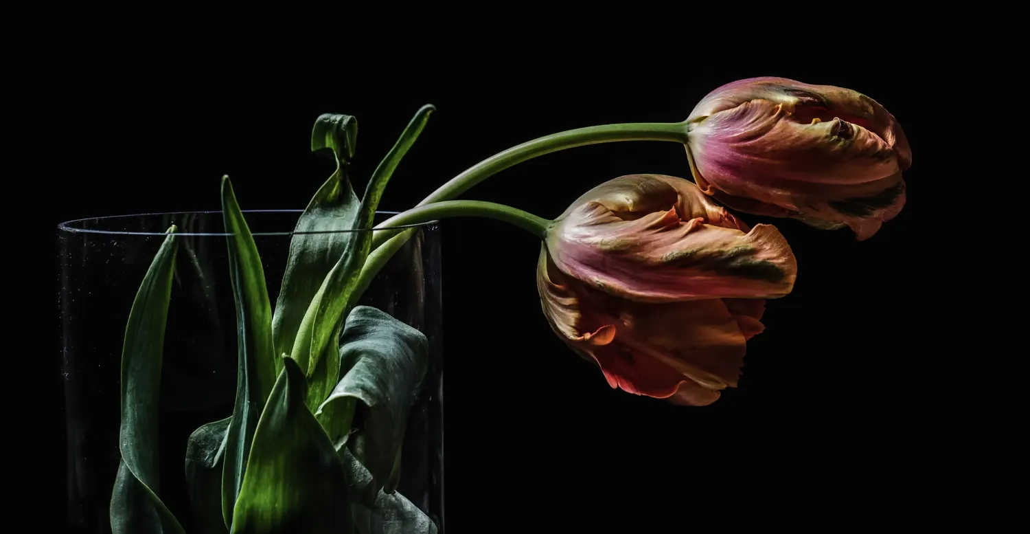 Artificial light